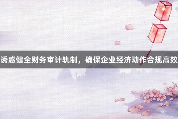 诱惑健全财务审计轨制，确保企业经济动作合规高效
